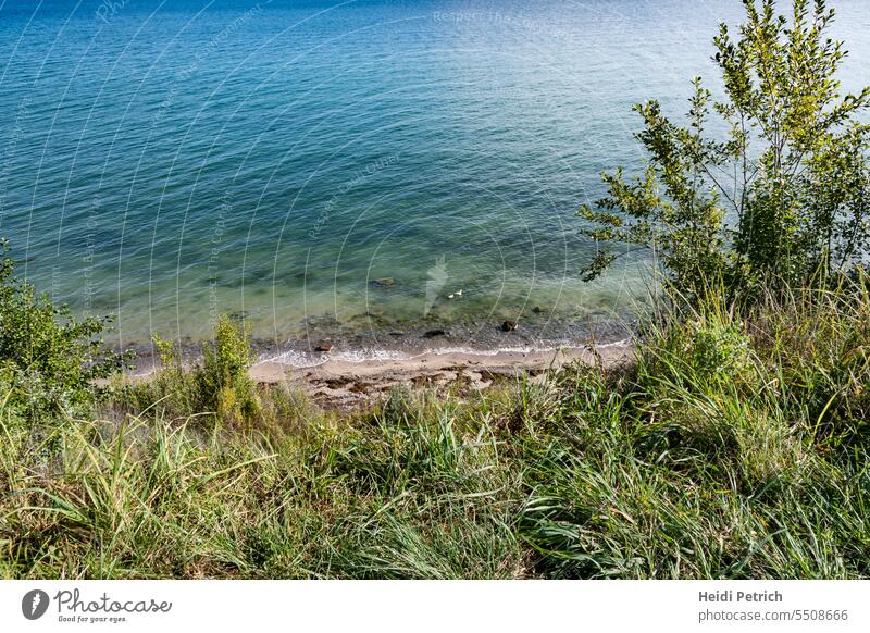 Gräser oben in der Tiefe ein Natur belassener Sandstrand. Die Ostsee schimmert in verschiedenen Farben Steilküste steilufer brodtener steilufer kliff gras grün