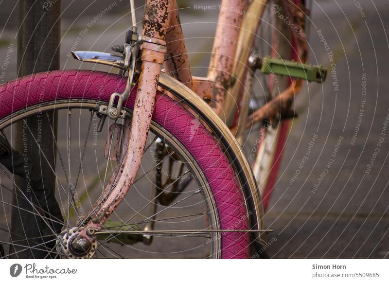 altes Fahrrad in den Farben Pink und Rosa pink rosa pinkfarben Mobilität alternativ Lifestyle Verkehr urban Verkehrsmittel Freizeit & Hobby Gender