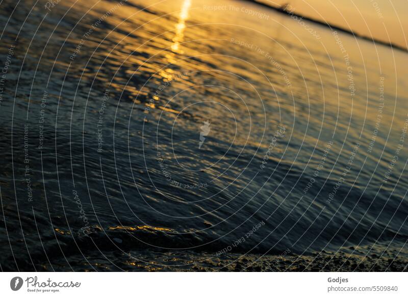 Sich spiegelnde Abendsonne auf der Wasseroberfläche Welle Wasserbewegung Wellenform Wellenschlag Küste Wellengang Wasserspiegelung Außenaufnahme Wasserfarbe