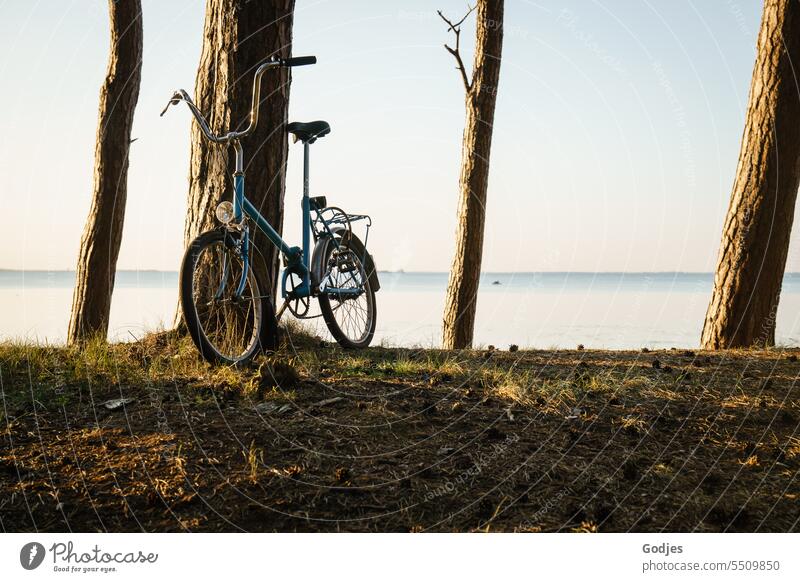 Blaues Fahrrad lehnt an einem Baum Minirad Urlaub Wasser Himmel Ferien & Urlaub & Reisen Strand Sommer Küste Außenaufnahme Farbfoto Wolken Tourismus Meer Natur