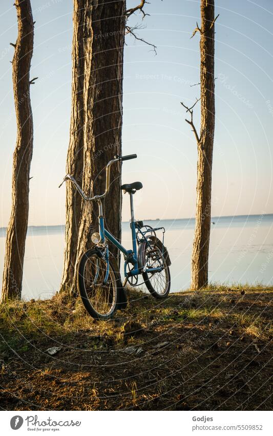 Fahrrad lehnt an einem Baumstamm vor blauem Himmel und Wasser Klapprad Außenaufnahme Verkehr Fahrradlenker Verkehrsmittel Fahrradfahren Freizeit & Hobby