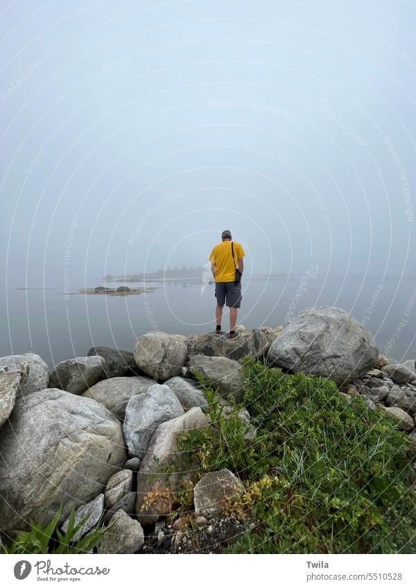 Mann schaut auf eine neblige Küste hinaus Nebellandschaft nebliger Morgen Außenaufnahme Stimmung Nebelstimmung Natur Küstenlinie felsig ruhig