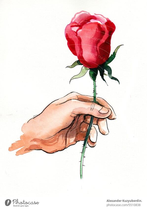 Hand hält eine rote Rose Kunst Hintergrund Dekoration & Verzierung Zeichnung Finger geblümt Blume Grafik u. Illustration vereinzelt Blatt Liebe Natur Pflanze