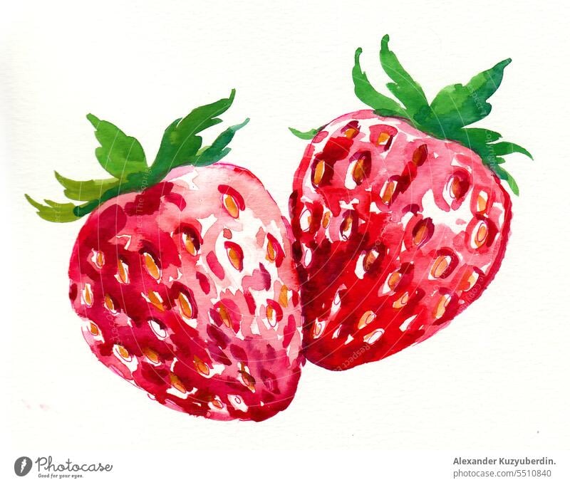 Aquarell-Erdbeere Kunst Hintergrund Beeren Farbe Dessert Diät Zeichnung Lebensmittel frisch Frische Frucht grün Gesundheit Grafik u. Illustration vereinzelt