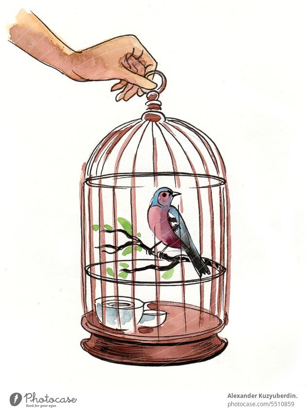 Hand hält einen Käfig mit einem Vogel. Aquarell Skizze Hintergrund Vogelkäfig Clip-Art Design Zeichnung gezeichnet elegant Blume Grafik u. Illustration