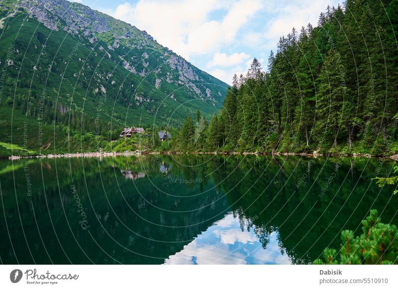 Fichtenwald bei blauem See in den Bergen. Naturlandschaft Morskie Oko Seeauge Wald Landschaft Nationalpark Tatra grün Zakopane im Freien Tag horizontal Polen