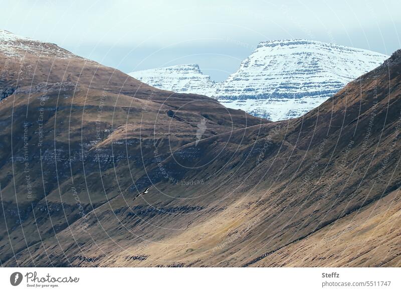 Steilküste und Berge auf der Färöer Inseln Färöerinseln Färöer-Inseln Schafsinseln Felsinsel malerisch spektakulär Harmonie Abenteuer Naturerlebnis steil