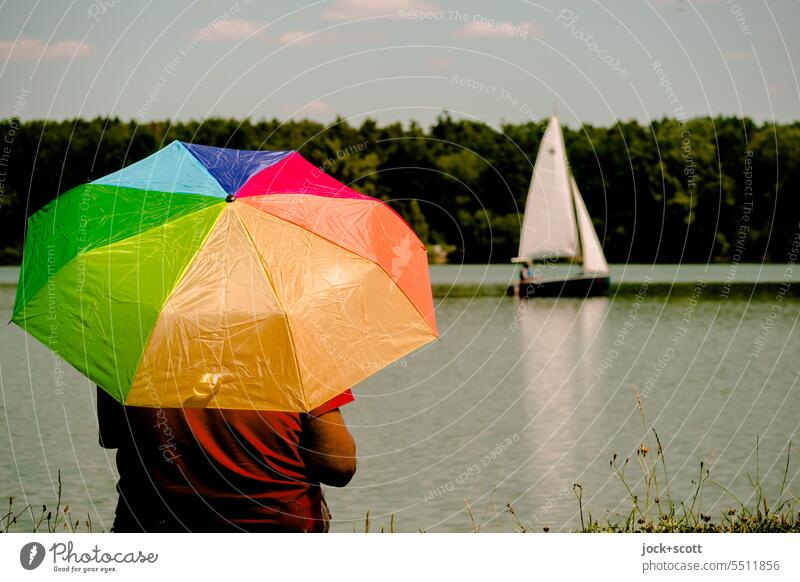 Mit Sonnenschirm am großen Weiher Natur Regenschirme ruhig Segelboot Idylle friedlich Sommer Freizeit & Hobby Umwelt Reflexion & Spiegelung Wärme Hitze Erholung