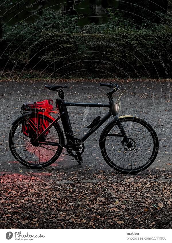 Bike Abend Dunkelheit Fahrrad Ruecklicht Licht und Schatten Reflektion Laub Weh Kies Gruen Rot Hecke Außenaufnahme Menschenleer Herbst Stimmung