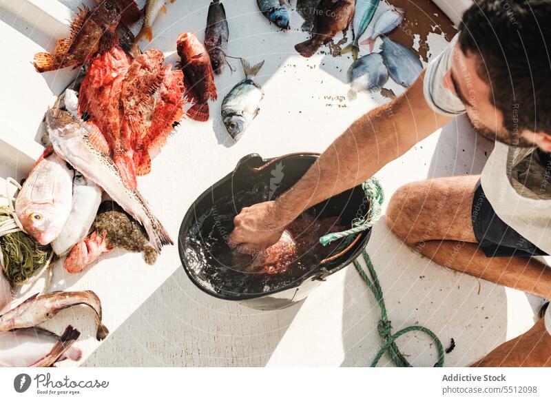 Erntehelfer mit ungekochtem Fisch Mann Wasser Eimer Fischen Sonnenlicht frisch aqua abholen natürlich männlich Soller Baleareninsel Mallorca hispanisch ethnisch