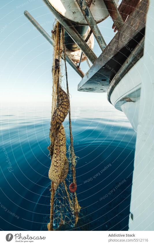 Mittelmeer-Muräne im Netz hängend auf einem Segelboot Mittelmeermuräne Muraena Helena Röhrenaal Fisch fangen Fischen Tradition anpacken Schoner Soller Balearen