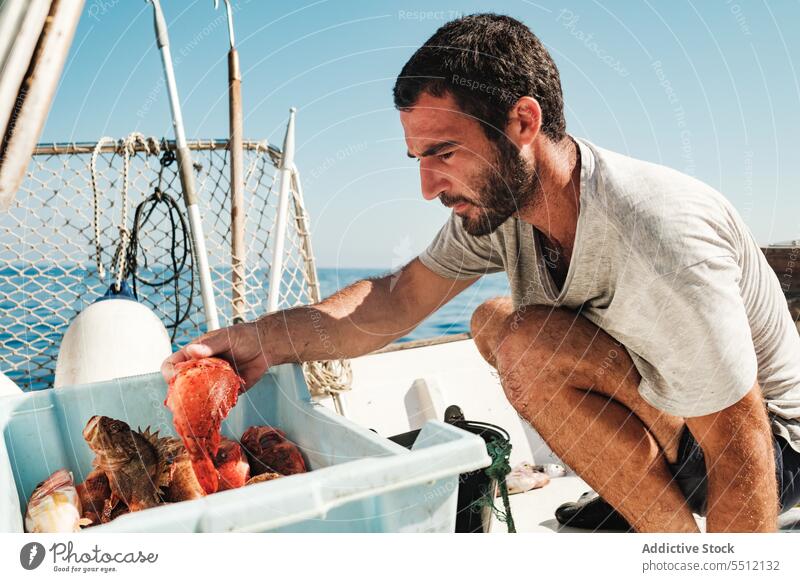 Konzentrierter Fischer in der Nähe eines Containers mit Fischen Mann Boot Sommer MEER ernst Konzentration Gefäße männlich Soller Mallorca Baleareninsel