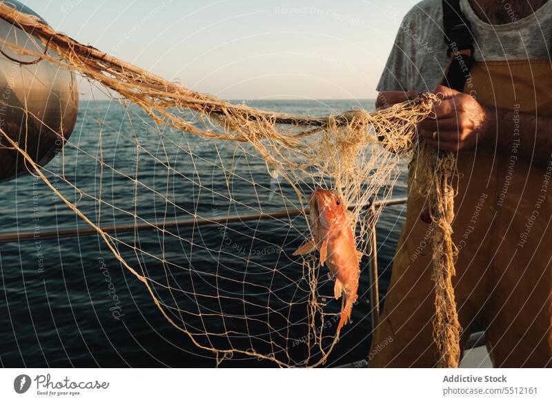 Anonymer Angler mit gefangenem roten Fisch Fischer Netz Fischen Tradition männlich Soller Balearen Mallorca Seemann Matrosen Wadenfisch jagen Schoner Trawler