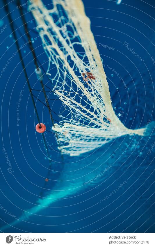 Unterwasser treibendes Netz beim traditionellen Fischfang Fischen marin Schwimmer Wasser MEER fangen tief unter Wasser Meer Soller Mallorca Baleareninsel