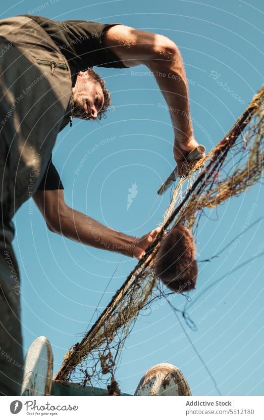 Fischer nimmt Meeresfrüchte aus dem Netz auf einem Segelboot Matrosen fangen Seeigel Tradition Fischen abholen Boot männlich Soller Balearen Mallorca Seemann