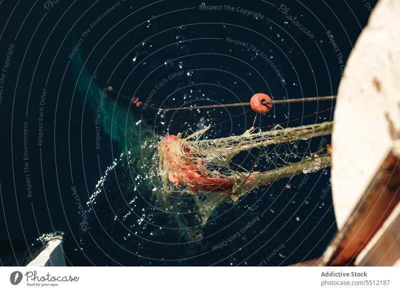 Gefangener Skorpionfisch im Netz gegen blaues Meerwasser rot Scorpaena scrofa Fisch Fischen Tradition Boot Soller Balearen Mallorca Wadenfisch jagen Schoner