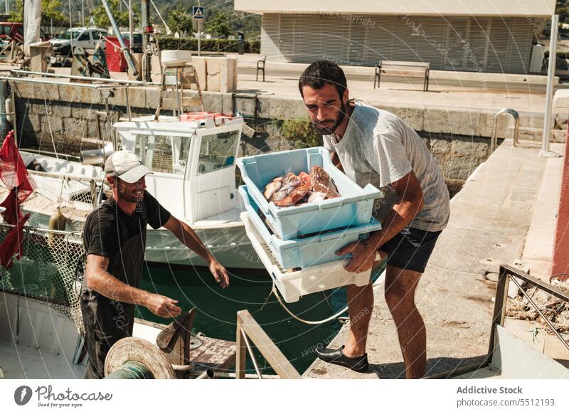 Hispanische Männer, die Kisten mit Fisch verteilen und empfangen Kasten geben Empfang Wasser MEER Fischen Meer Zusammensein männlich Soller Baleareninsel