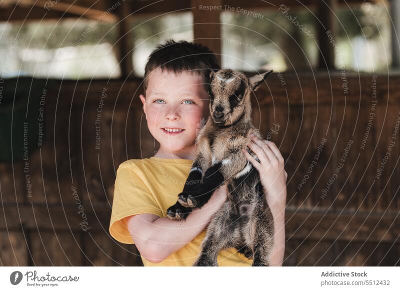 Glücklicher Junge umarmt jungen amerikanischen Pygmäen im Zoo Amerikanischer Pygmäe Ziege Lächeln Porträt besuchen Umarmung Kind niedlich capra aegagrus hircus