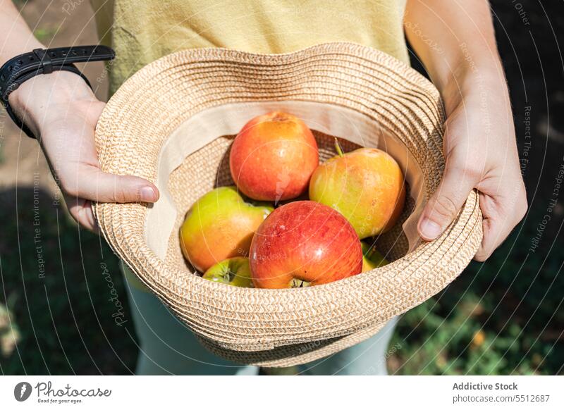 Anonymer Junge mit Hut und Äpfeln im Garten Ackerbau Apfel Herbst herbstlich Kind Kinder Ernte grün Hand Ernten Halt menschlich natürlich Natur Obstgarten