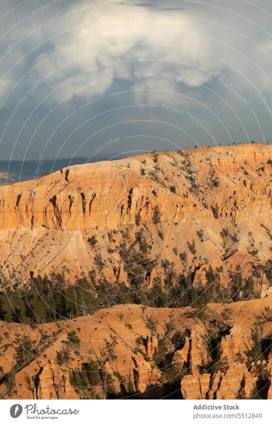 Grand Canyon unter bewölktem Himmel Schlucht Formation Natur Landschaft felsig Geologie rau Felsen massiv malerisch majestätisch Bäume wolkig spektakulär