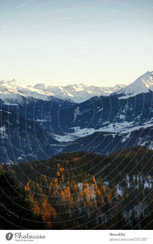 I love Switzerland. Umwelt Natur Sonne Sonnenlicht Winter Schnee Alpen Berge u. Gebirge Gipfel Schneebedeckte Gipfel authentisch fantastisch Glück kalt
