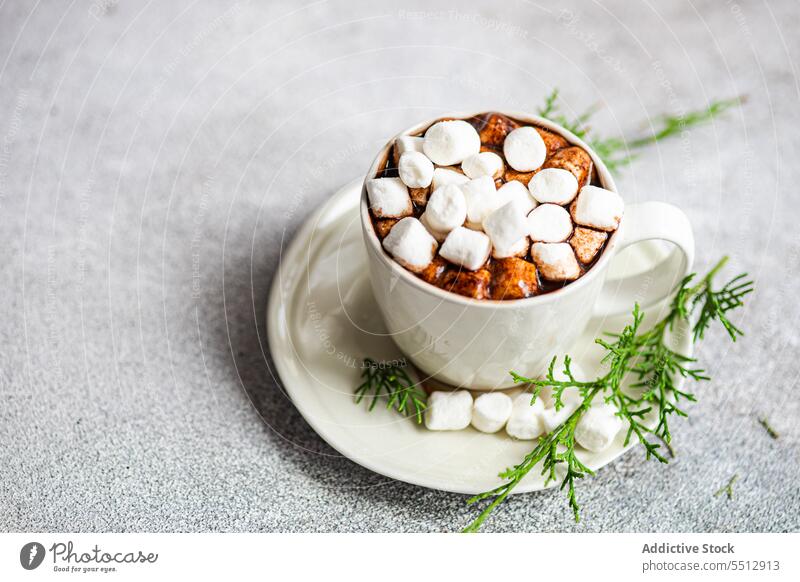 Tasse mit aromatischem Weihnachtsgetränk auf einem Teller Marshmallow Kakao Ast frisch Weihnachten Zweig Tanne Becher nadelhaltig Dessert Getränk lecker süß