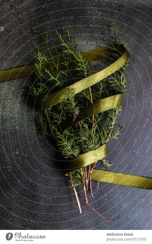Tannenzweige mit Schleife verziert Ast Weihnachten Bändchen Dekoration & Verzierung Feiertag Neujahr feiern Symbol Tradition festlich grün nadelhaltig