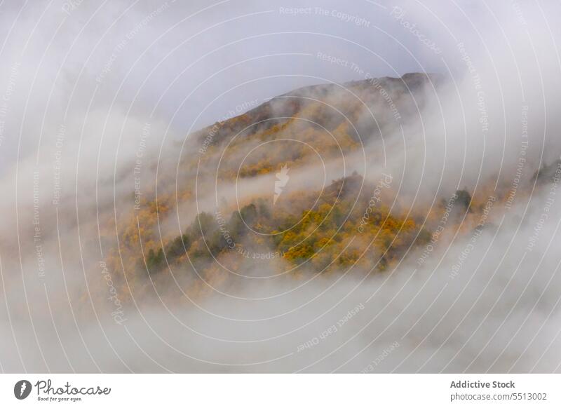 Neblige Berggipfel in herbstlicher Natur Nebel Berge u. Gebirge Herbst Gipfel Dunst Wald Baum farbenfroh Wälder Umwelt Alpen Frankreich Französische Alpen