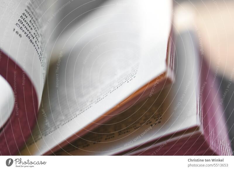 offenes Buch Buchseiten Printmedien lernen Roman Bibliothek Studium Information Weisheit Wissen Bildung Freizeit aufgeschlagen lies mal wieder