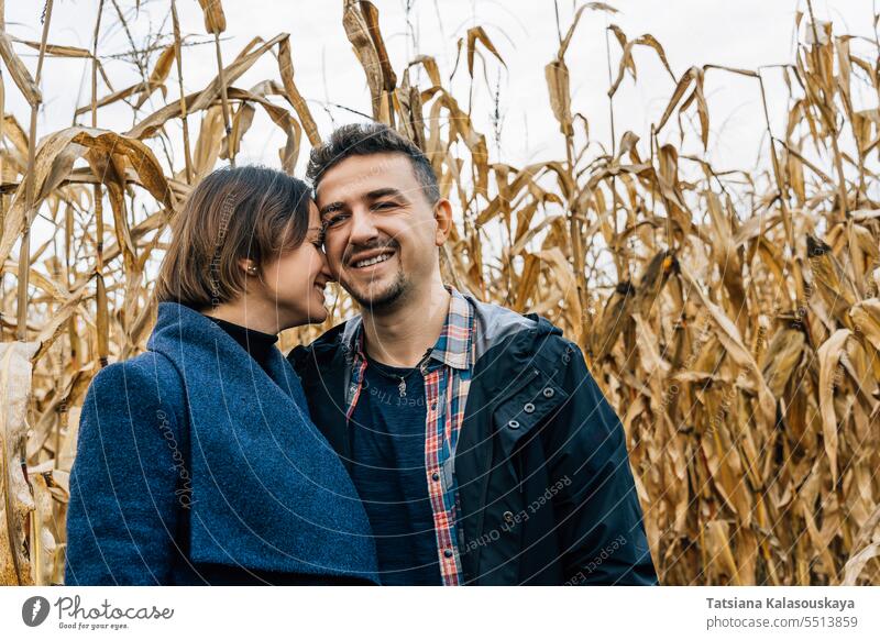 Ein offener Moment der Zärtlichkeit während eines Spaziergangs eines Paares in einem Maisfeld im Herbst. Eine Frau drückt ihre Stirn an die Wange ihres Geliebten