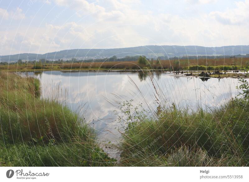 Moorsee mit Gräsern am Ufer, im Hintergrund das Wiehengebirge Spiegelung Landschaft Natur Umwelt natürlich Moorlandschaft Wasser Außenaufnahme Menschenleer