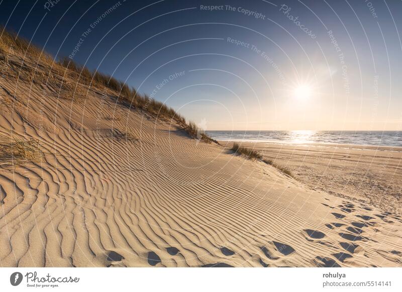 schöner goldener Strand bei Sonnenuntergang Küste Sand winken Textur Muster Weg Düne Meereslandschaft Meeresufer Horizont Himmel übersichtlich blau Hintergrund