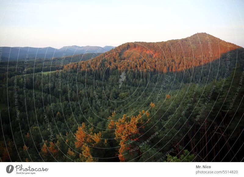 Berg leuchten Rheinland-Pfalz Pfälzerwald stimmungsvoll Ruhe Licht Sonne Wärme Wohlgefühl Zufriedenheit Panorama (Aussicht) Bergwelt Ferien & Urlaub & Reisen