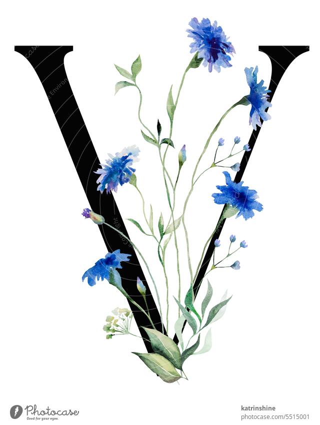 Schwarzer Buchstabe V mit Aquarell blauen Kornblumen und Wildblumen Bouquet, Sommer Hochzeit Element Geburtstag botanisch Charakter Zeichnung Garten