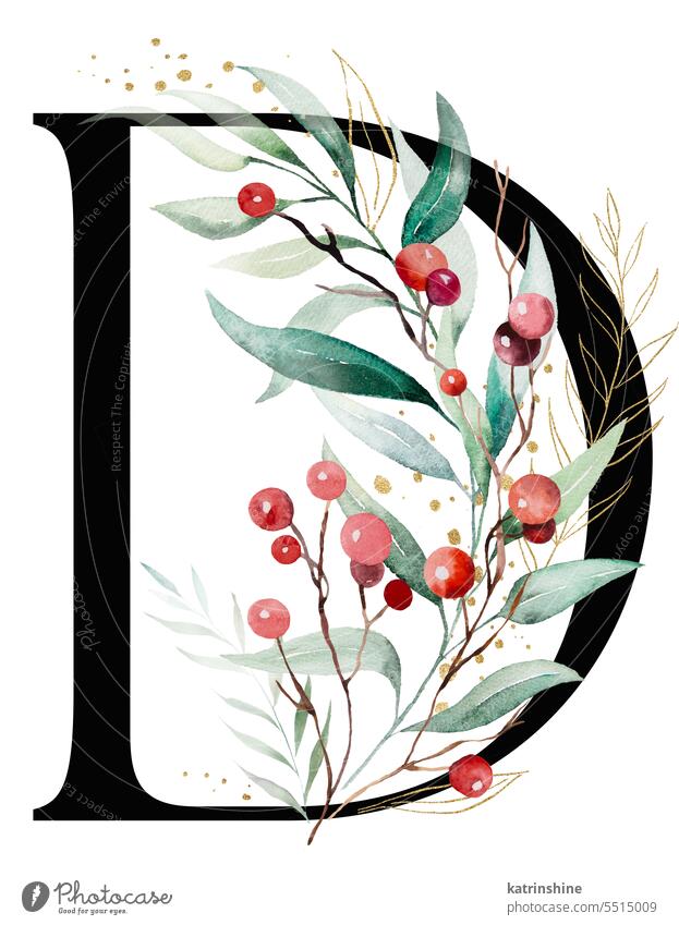 Schwarzer Buchstabe D mit Aquarell Zweige mit grünen und goldenen Blättern und roten Beeren, Weihnachten isoliert Illustration Dekoration & Verzierung Zeichnung
