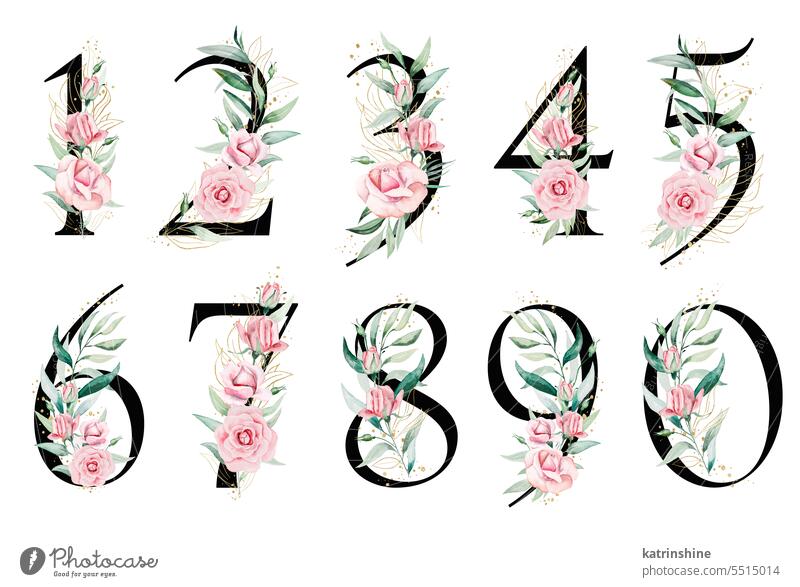 Schwarze Zahlen mit rosa Aquarellblumen und grünen und goldenen Blättern, isolierte Illustration. Geburtstag botanisch Dekoration & Verzierung Zeichnung Element