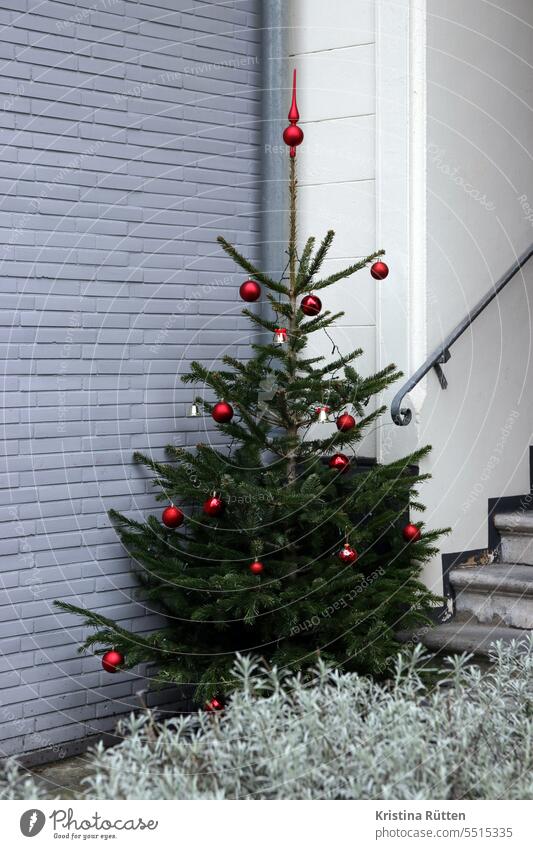 weihnachtsbaum im häusereck christbaum tannenbaum baumspitze weihnachtsschmuck haus hausecke hauseingang gebäude vorgarten treppe weihnachten weihnachtlich