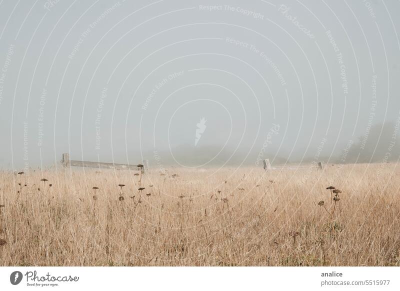 Nebliges Feld mit kaputten Zäunen Zaun Nebel verschwommen neblig Nebellandschaft allein leer einsam Wetter im Freien Bauernhof