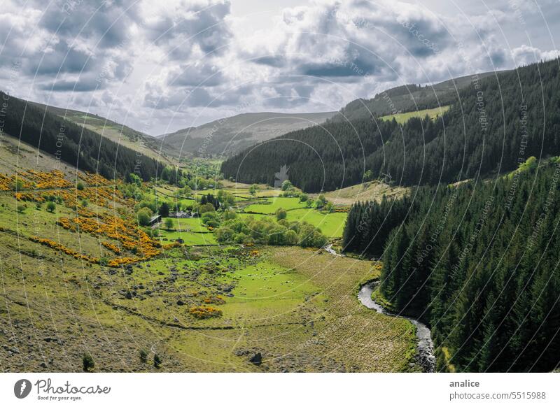 Irland Tallandschaft mit Bäumen, Bergen und Fluss Republik Irland Berge u. Gebirge Landschaft Bach Feld grün Natur reisen Wald Ansicht malerisch im Freien