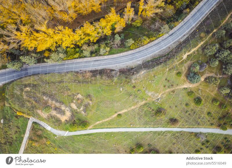 Straßen und Bäume in den Außenbezirken der Stadt Baum Herbst Stadtrand Landschaft Asphalt üppig (Wuchs) reisen malerisch Segovia Ávila Spanien Natur Route