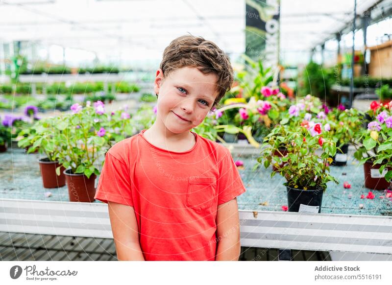 Kind steht und schaut in die Kamera vor grün blühenden Topfpflanzen im Gewächshaus Junge Pflanze Blüte Blume bewundern Blütezeit Flora Sommer lässig stehen Hemd