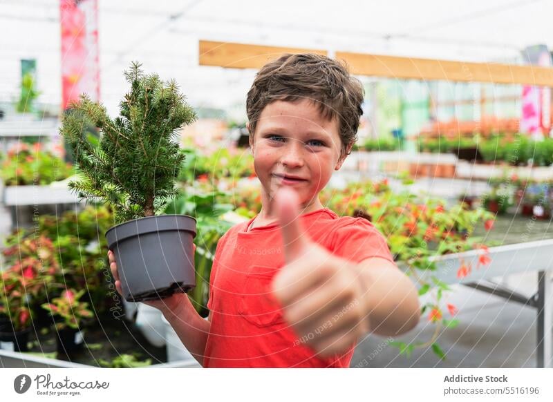 Fröhliches Kind mit grünem Blättertopf stehend und Daumen hoch zeigend Junge Pflanze Lächeln Glück Topf Gewächshaus heiter Freude organisch Wachstum Botanik