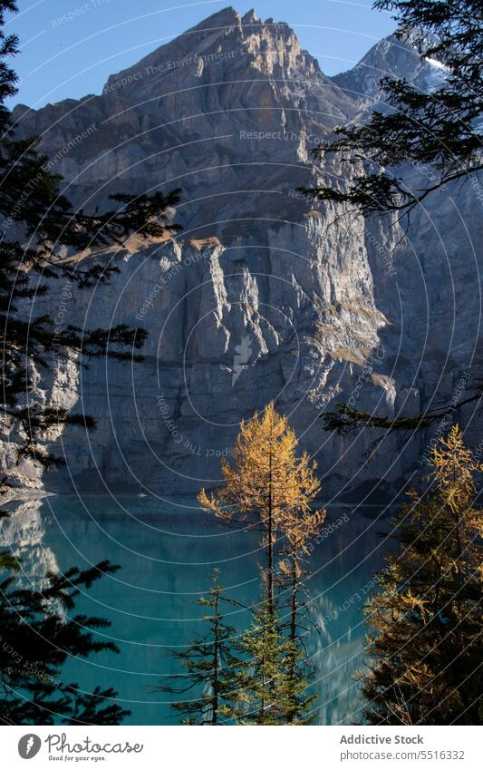 Ruhiger See mit felsiger Formation Berge u. Gebirge Schweiz Natur Kamm kandersteg Landschaft Hochland Ambitus malerisch Berghang nadelhaltig Dolomit