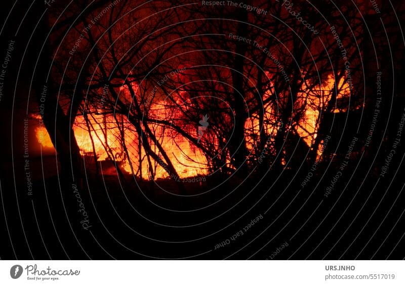 Feuer - es brennt lichterloh mitten in der Nacht - die Flammen zerstören Bäume und Sträucher Wärme heiß brennen rot orange Hintergrund Rahmen Brand gefährlich