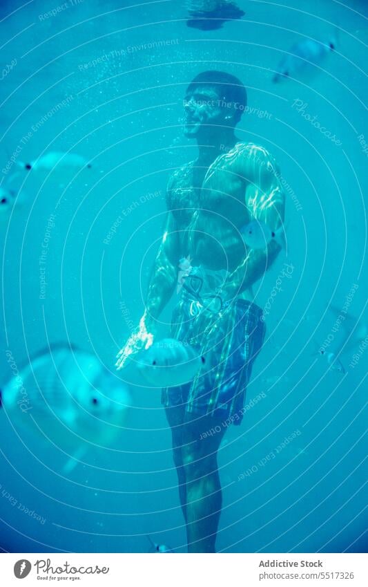 Männlicher Taucher bei der Erkundung eines Korallenriffs mit Fischen im Meer Mann schwimmen marin MEER Sinkflug reffen exotisch unter Wasser blau Aktivität
