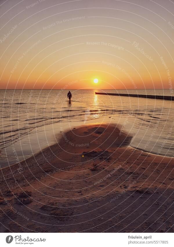 Am liebsten nie wieder weg | Strand bei Sonnenuntergang, ein Mensch läuft der Sonne entgegen im Wasser Sehnsucht Sehnsuchtsort sehnsuchtsvoll