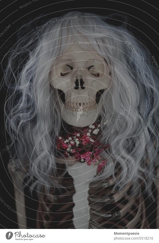 Skelett Frau Perücke weißhaarig tot Opfer Tod Blumen sterben Schädel Brustkorb Halloween Kopf Knochen Entsetzen Porträt Feiertag Angst Vergänglichkeit gruselig
