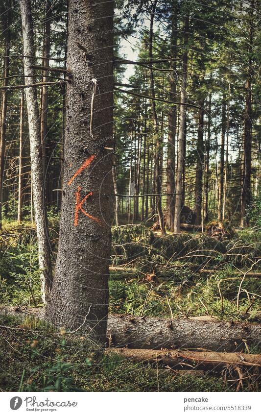 weg damit! | K muss weg Bäume Wald Holzwirtschaft Holzfällen Landschaft beseitigen Forstwirtschaft Weg Schriftzeichen Symbol Markierung Zeichen Buchstabe
