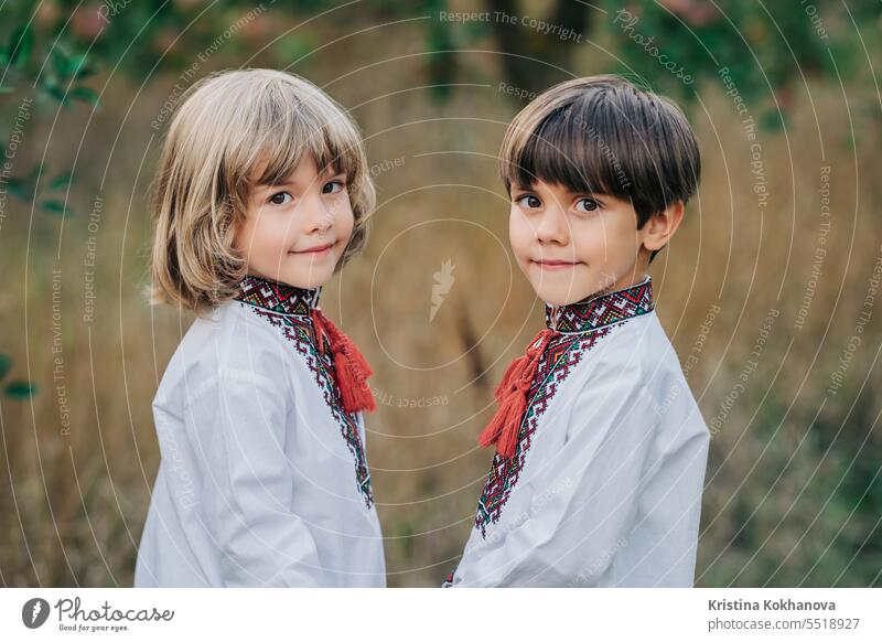 Portrait hübsche ukrainische Jungen Apfelgarten. Kinder traditionelle Stickerei Fröhlichkeit Sommer Ukraine Ukrainer Feld Glück Hintergrund Brüder Kindheit