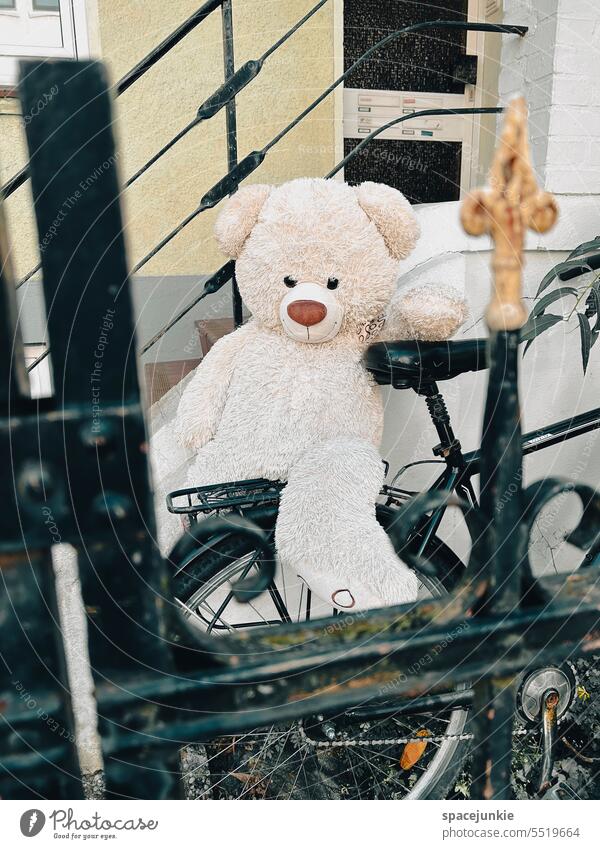 Drunken teddy Fahrrad Außenaufnahme Menschenleer Farbfoto Mobilität Unschärfe Verkehrsmittel parken Hauseingang Tür Zaun Teddy Teddybär schlafen schlafend